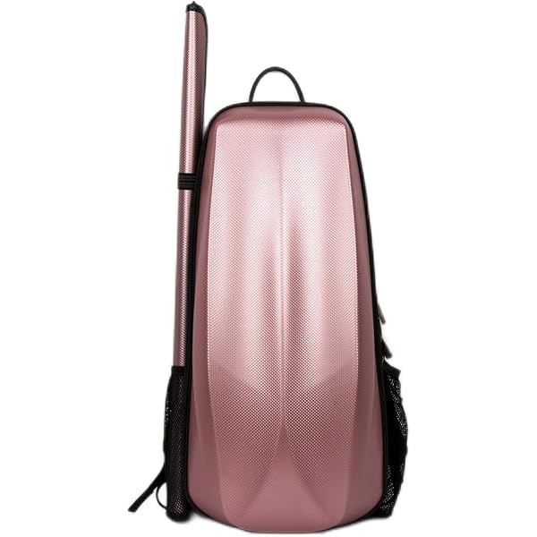 Amazon.co.jp: GEWA ヴァイオリンケース Jaeger イェーガー 最高級