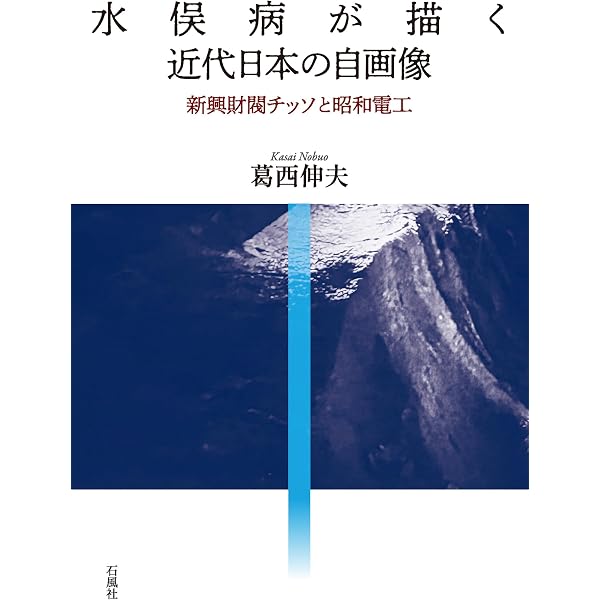 Amazon.co.jp: 核心・〈水俣病〉事件史 : 富樫貞夫: 本