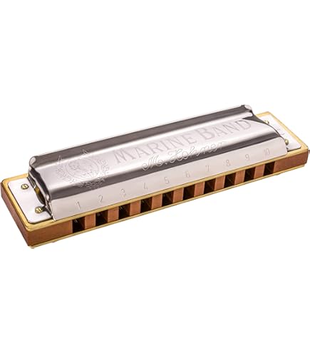 Amazon | Hohner Harmonica Harmonica, Silver (1896BX-Eb