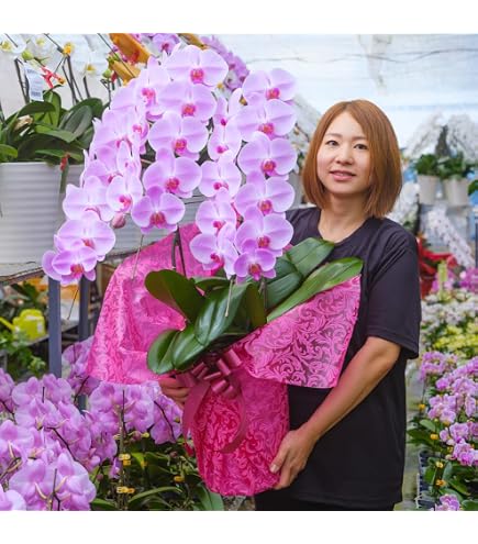洋ラン 蘭 タケノコ蘭 Clowesia Queen no33 花付き Amazon｜洋ラン 蘭 タケノコ蘭 Clowesia Queen no33 花付き｜フラワー