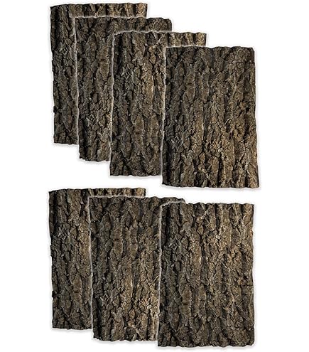 Amazon.co.jp: P. quadridichotomum ビカクシダ クアドリディコトマム