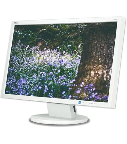 Amazon.co.jp: NEC LCD-E221N 21.5 inch 3-sided Narrow Frame IPS