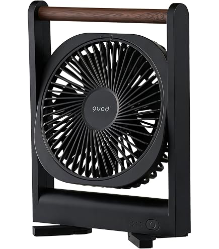 Amazon.co.jp: スイスデザイン CHARLY FAN（チャーリーファン）Lサイズ