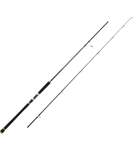 Amazon | メジャークラフト 釣り竿 ベイトロッド 3代目 クロステージ