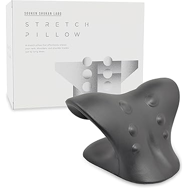 Amazon.co.jp 最新リリース: ネックピロー の新着ランキングです。