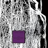 ���f�B�E�w���B�E�{�g���Y�E�����c