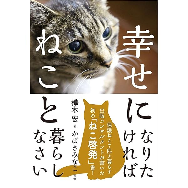 あなたに幸せ呼ぶ光の天使猫 楽天市場】【電池10本プレゼント】あなたのパートナー しっぽ