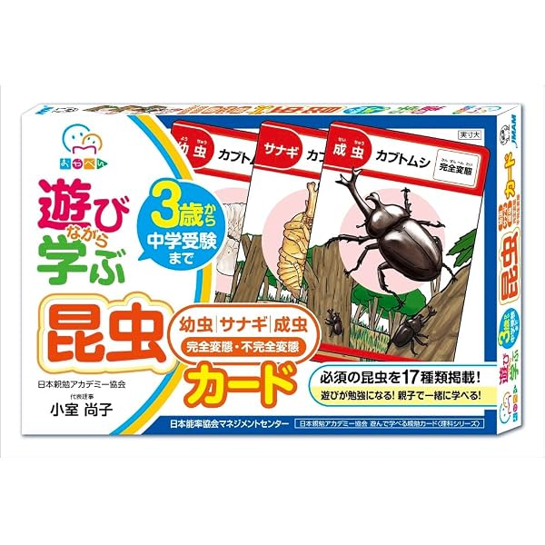 Amazon.co.jp: 遊びながら学ぶ 日本の名作カード ([バラエティ