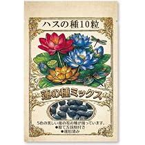 茶碗ハスの種500粒 Amazon.co.jp: ミニハスの種 茶碗蓮 ハスの種 屋内外植付け可能 お得な