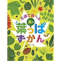 見る知る考えるずかん 五感で調べる木の葉っぱずかん | 林 将之 |本