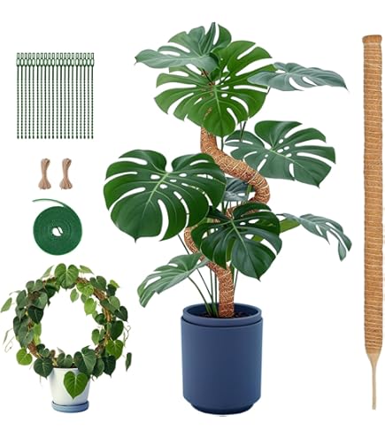 Amazon.co.jp: 支柱 園芸 ガーデニング 支柱 モンステラ つ観葉
