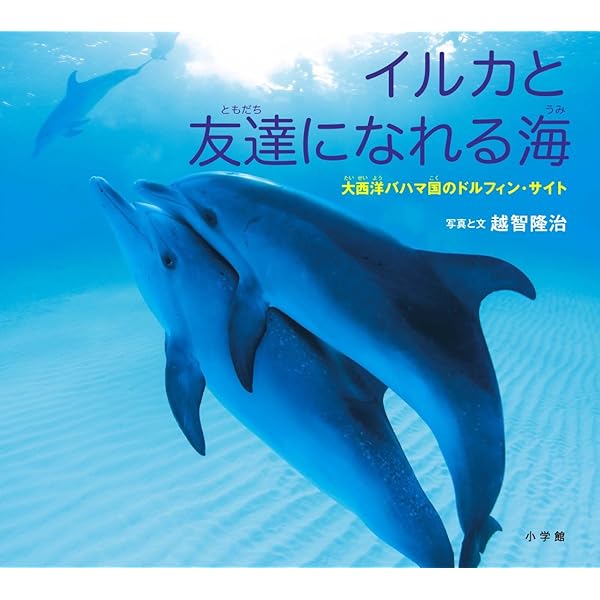 あおいうみのイルカたち (親と子の写真絵本 8) | 越智 充奈子, 越智