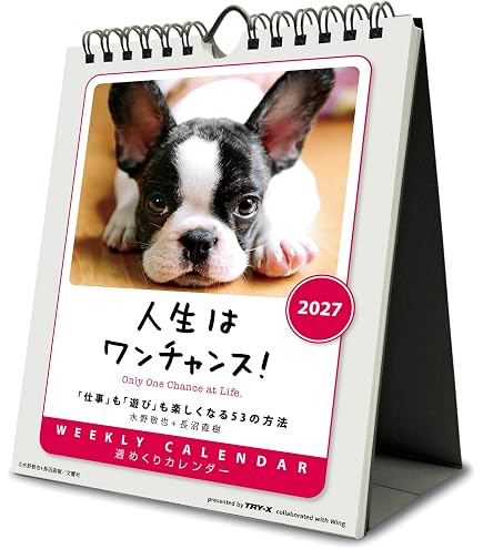 Amazon | トライエックス 人生はワンチャンス！ 卓上/壁掛 2026年
