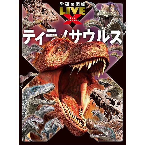 Amazon.co.jp: サメ : アクアワールド茨城県大洗水族館: Japanese Books