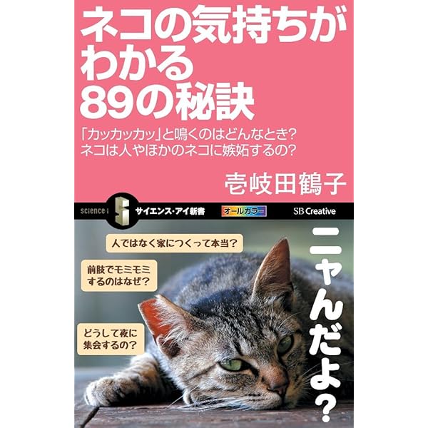 猫のオルゴナイト 訳ありの為ご理解の上ご検討ください。