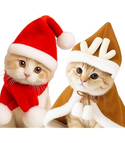 クリスマス　赤いマフラーしてる猫　名古屋帯 Amazon | DIFEIUKI クリスマス 猫マント マフラー 首輪 ペット