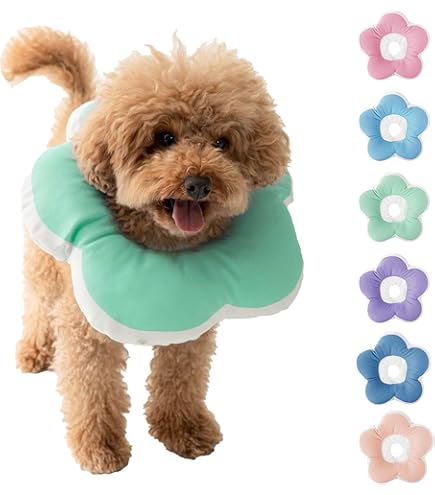 豪華 定価21,600円❤わんちゃん用カラー Amazon | 【獣医師監修×JPPMA認定】犬用エリザベスカラー｜軽量