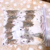 ポルテ 冷凍ヤワゲネズミ プチラット DO BL 冷凍ヤワゲネズミ プチラット 43~63g12匹 N