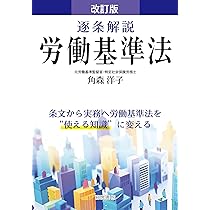 裁断済　逐条解説建築基準法改訂版 61zwKFs+1IL.jpg_BO30,255,255,
