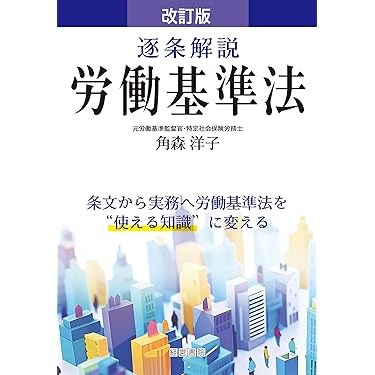 労働基準法上、下セット 労働基準法 平成22年度版 上・下 2冊セット(厚生労働省労働