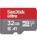 Nintendo Switch microSDカード32GB付 サンディスク microSD 32GB Nintendo Switch 対応