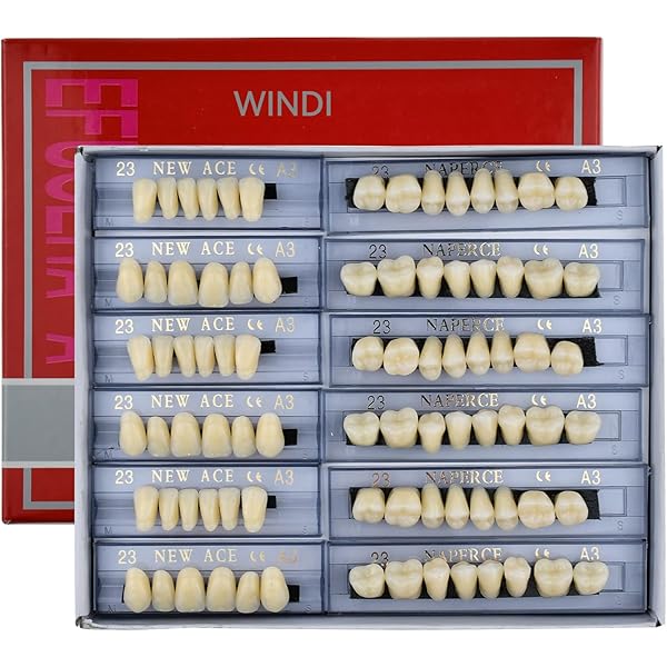 化粧用義歯 ２組 Amazon.co.jp: インスタント 入れ歯 義歯 美容 付け歯 化粧歯 上