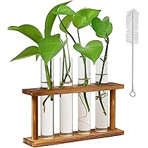 使い方色々！試験管容器。花瓶。EC商品容器。外箱セット。 iwaki イワキ 新色 耐熱ガラス保存容器 7点セット パックアンド