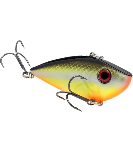 StrikeKings ストライクキング　KVDSSHC6XD-534 Amazon.co.jp: Strike King(ストライクキング) KVD スクエアビル