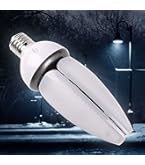 Amazon | 岩崎 水銀ランプ HF200X | 岩崎 | 白熱電球