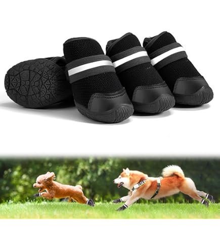 まるさん専用 Amazon.co.jp: マルカン はかせやすいおさんぽシューズ XSサイズ 超