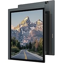 電子書籍リーダー本体 Bigme B1051C RAM6GB ROM128GB 71ovbv224JL._AC_UL210_SR210,