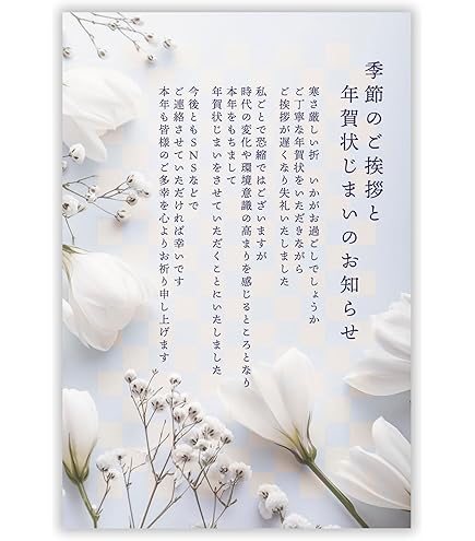 年賀状じまい2025（新年お知らせ）　私製　10枚入り JIM-555 71uaoSxJFaL._UF350,350_QL80_.jpg