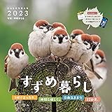 すずめ暮らし Calendar 22 インプレスカレンダー22 中野さとる 本 通販 Amazon