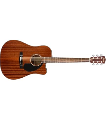 Amazon | バトンルージュ（Baton Rouge） アコースティックギター X6C