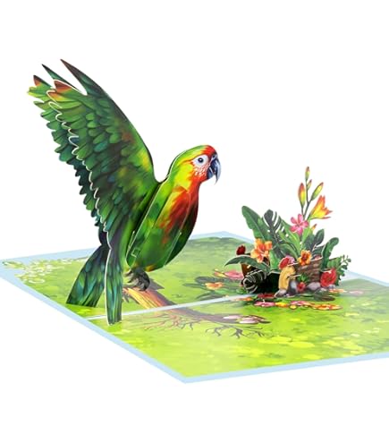 Amazon.co.jp: 魔法のような美麗カード?シンプルで美しいゴールデン