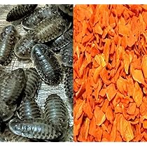 爬虫類・両生類のエサ ADM20 ADL10 SS10 S10 SM10 M10 ML10 爬虫類・両生類のエサ ADM20 ADL10 SS10 S10 SM10 M10 ML10
