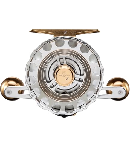 Amazon | シマノ(SHIMANO) チヌ・石鯛リール セイハコウ