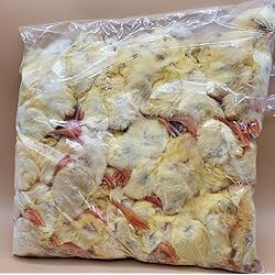 Amazon.co.jp: フクロウ・タカ・ハヤブサ等の餌 冷凍ヒヨコ60羽入り