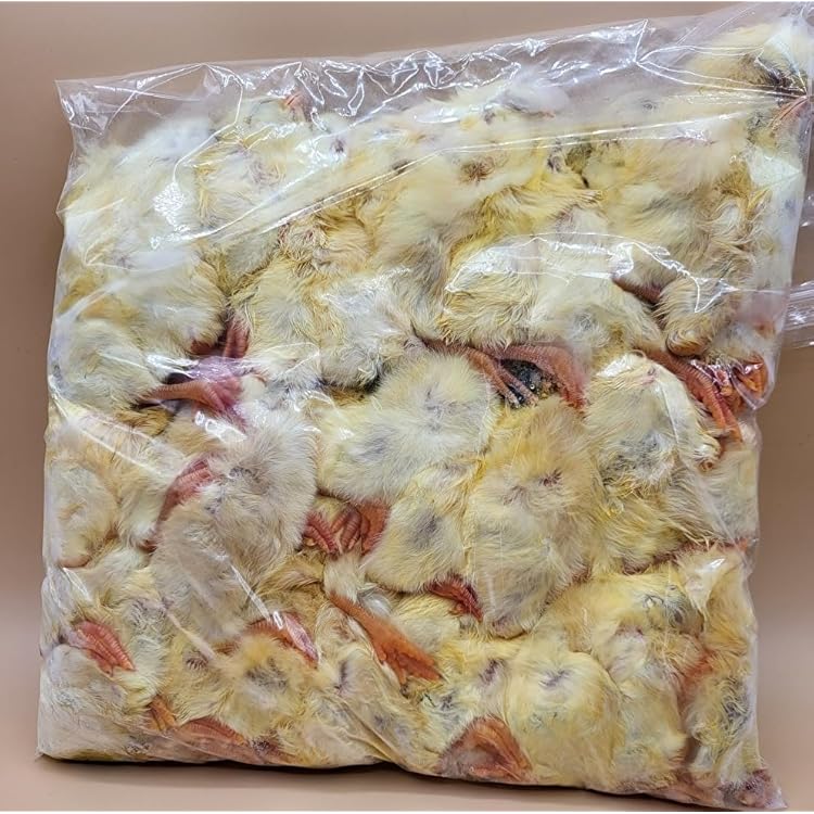 Amazon.co.jp: フクロウ・タカ・ハヤブサ等の餌 冷凍ヒヨコ60羽入り