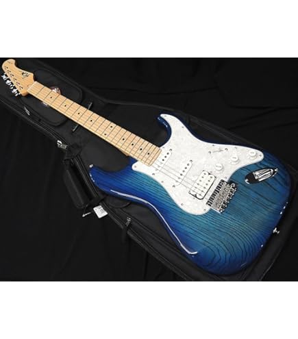 Amazon | FGN FUJIGEN NTE100MAHT SBB フジゲン Neo Classic SERIES