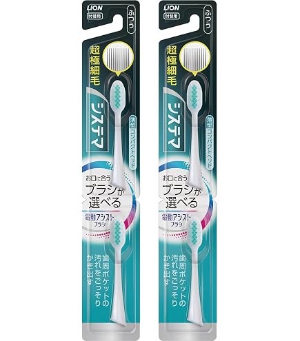 Amazon.co.jp: Lion Electric Assist Brush, Main Body + Replacement