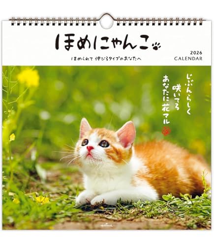 Amazon | ホールマーク 2026年 カレンダー 壁掛け 小 ほめにゃんこ