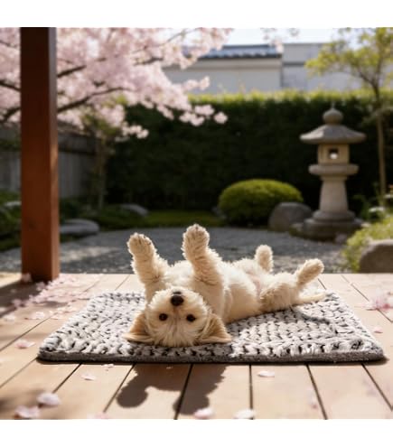 Amazon | フューチャーアロー 遠赤外線マイカヒーター 犬・猫専用 70W