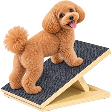 Amazon.co.jp 最新リリース: 犬用ステップ の新着ランキングです。