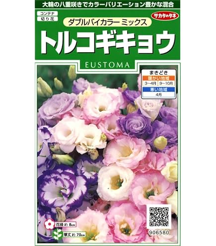 Amazon.co.jp: ブーゲンビリア 大株 海外種 三色変色 花蕾 : DIY・工具 