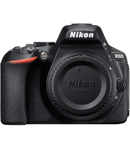 Amazon | Nikon D3500 Digital SLR Camera [with AF-P 18-55 VR Lens