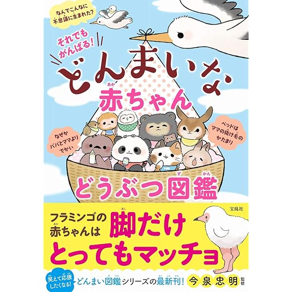 それでもがんばる どんまいな赤ちゃんどうぶつ図鑑 今泉 忠明 本 通販 Amazon