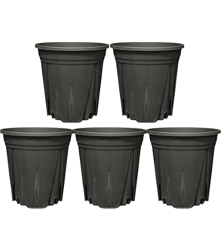 Amazon.co.jp: スリット鉢 黒 兼弥産業 スリットポット ロングポット