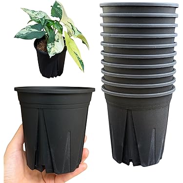 Amazon.co.jp 最新リリース: 鉢 の新着ランキングです。