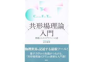 共形場理論入門　基礎からホログラフィへの道 (ＫＳ物理専門書)